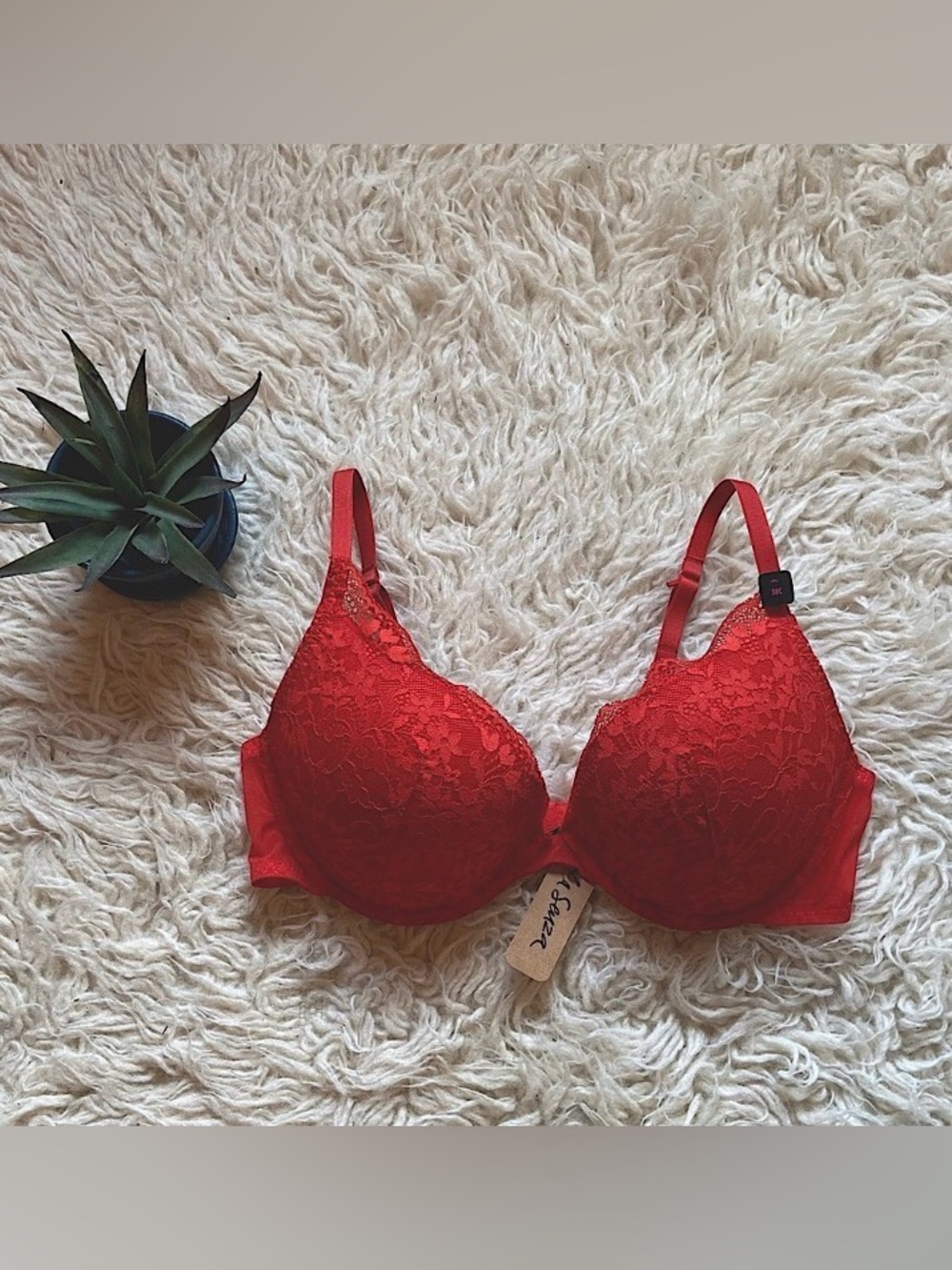 La SENZA Obsession Push Up Plunge Bra NWT